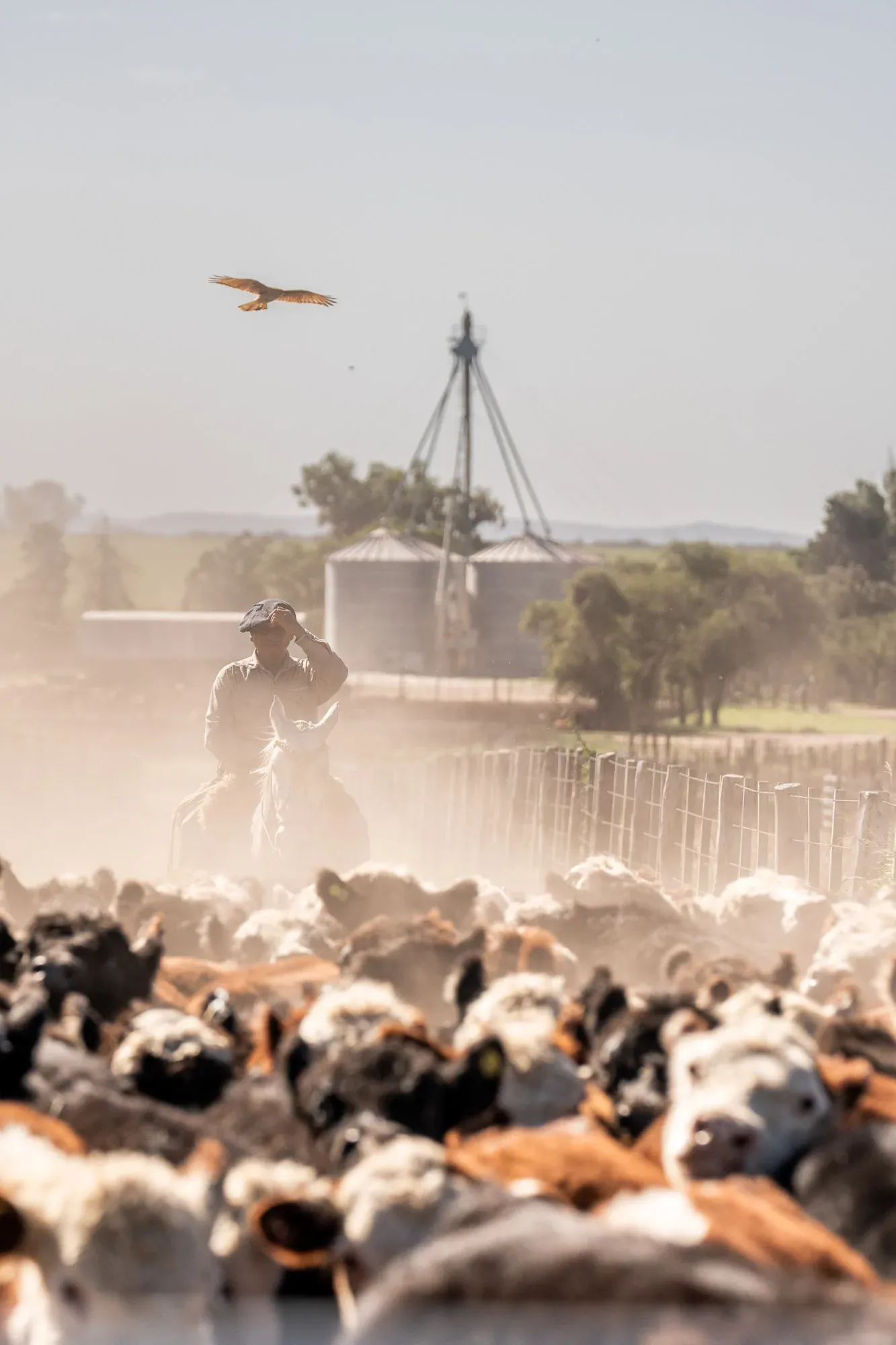 Campo — Exxo AgroDigital