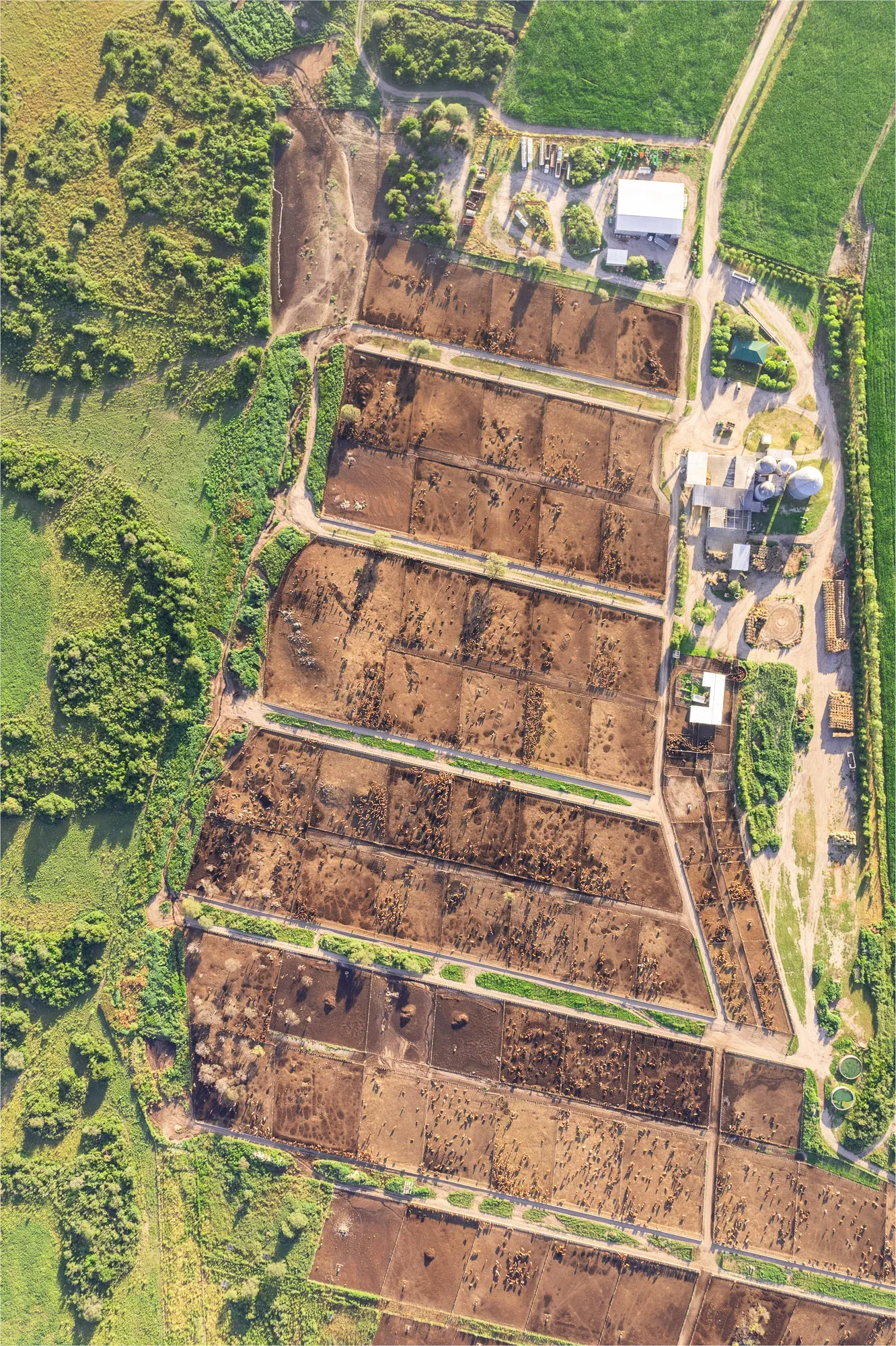 Campo — Exxo AgroDigital