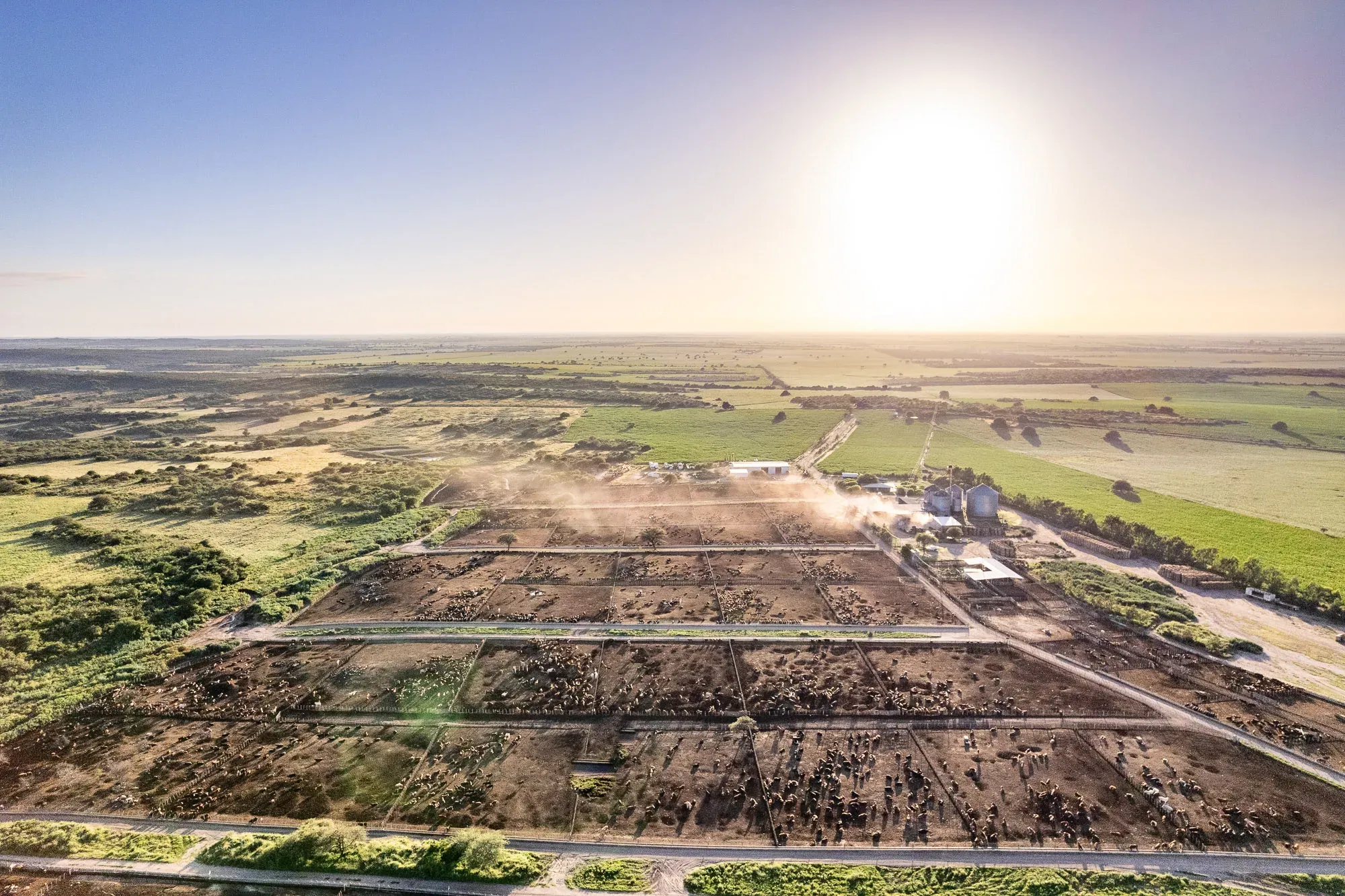 Campo — Exxo AgroDigital