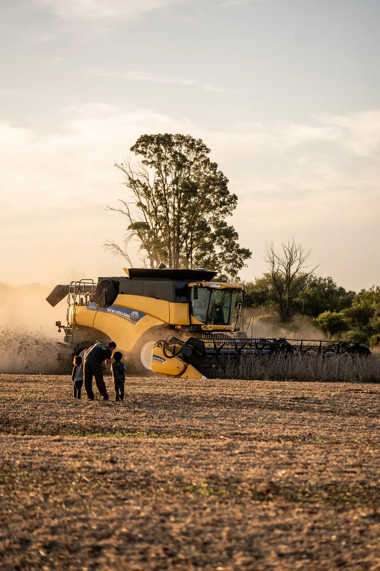 Campo — Exxo AgroDigital