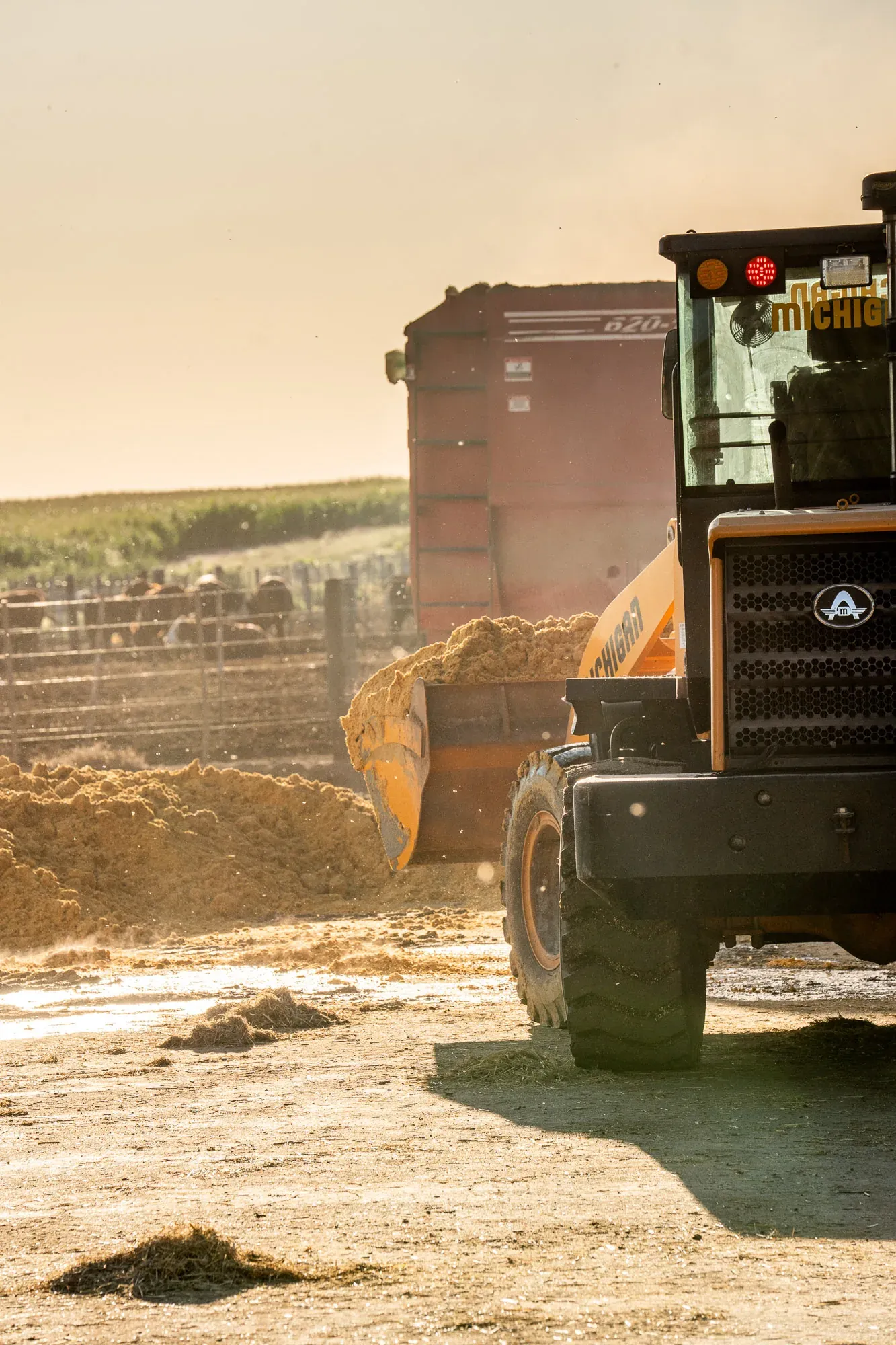 Cargadora en feedlot
