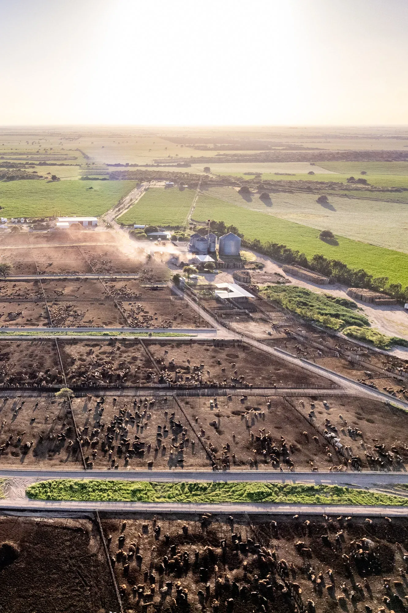 Feedlot aéreo 3