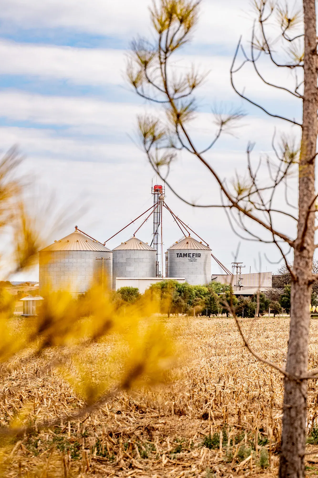 Silos de granos
